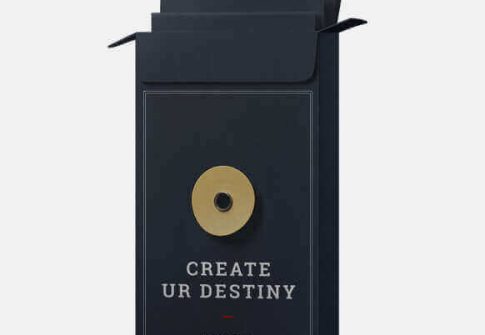 Portfolio Twelve