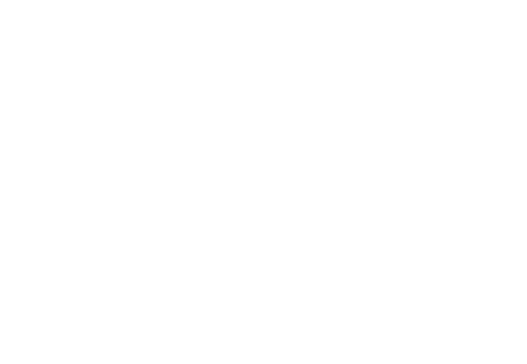 Portfolio Nine